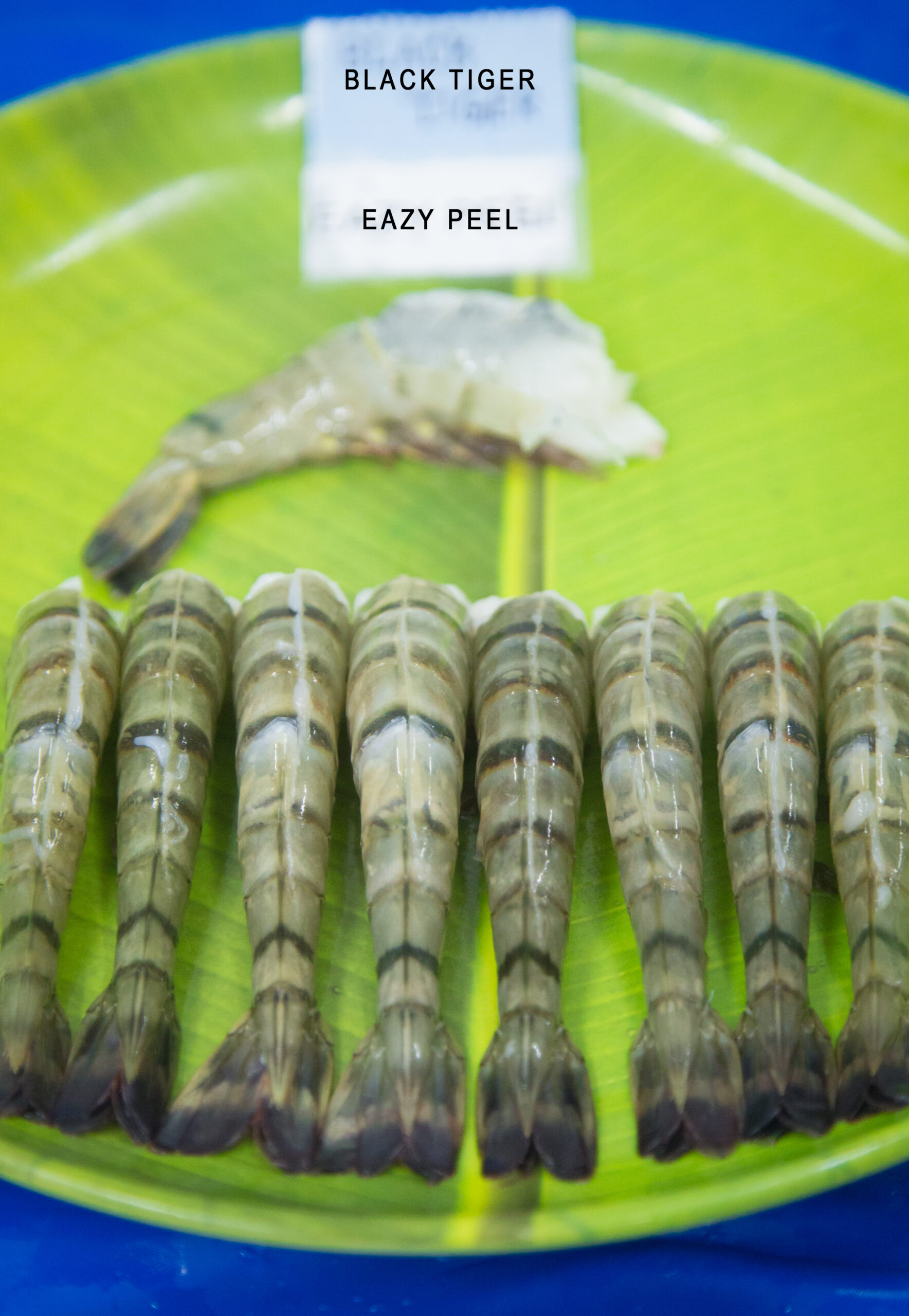 EAZY PEEL BLACK TIGER SHRIMPS
