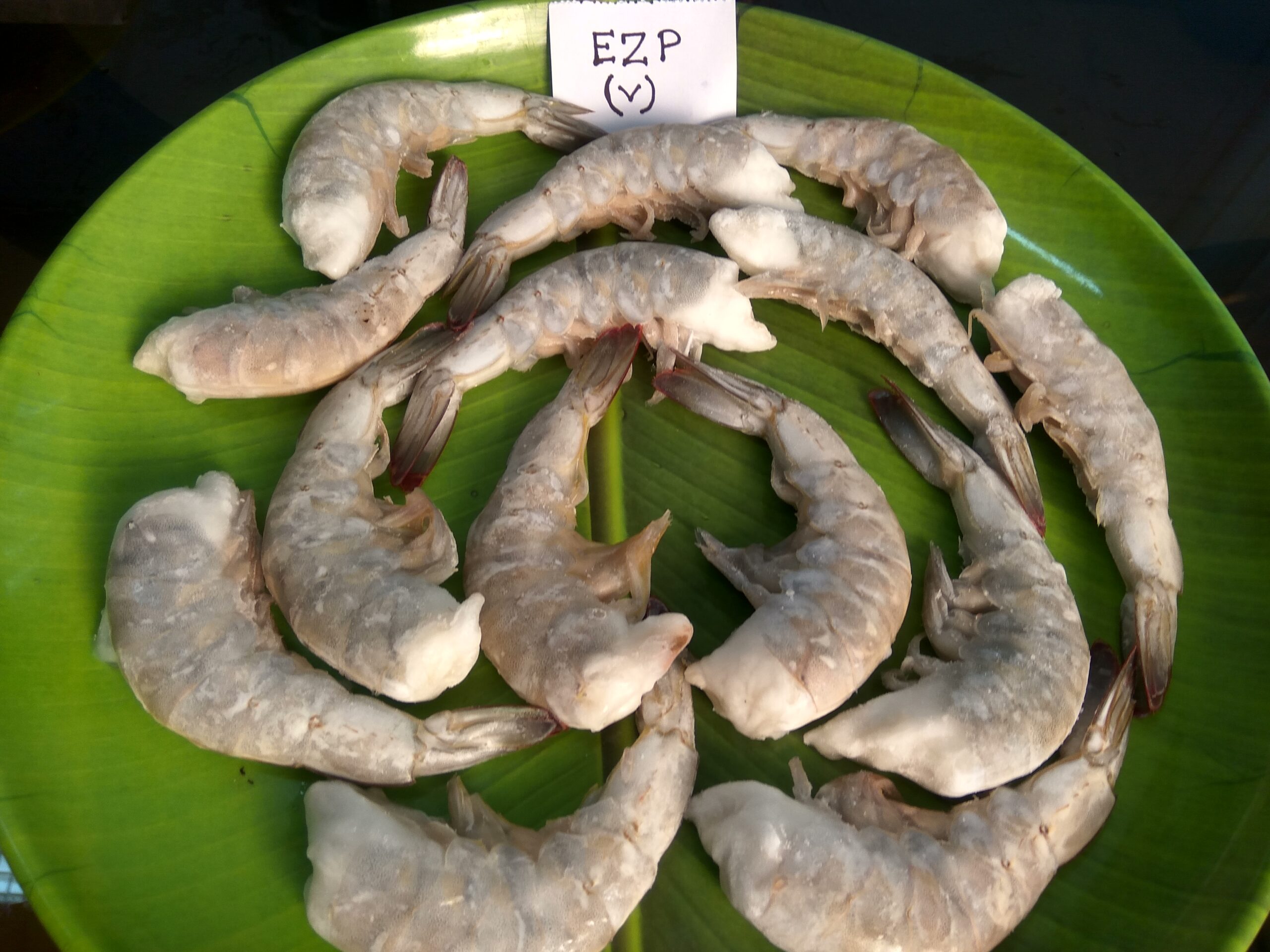 EAZY PEEL VANNAMEI IQF