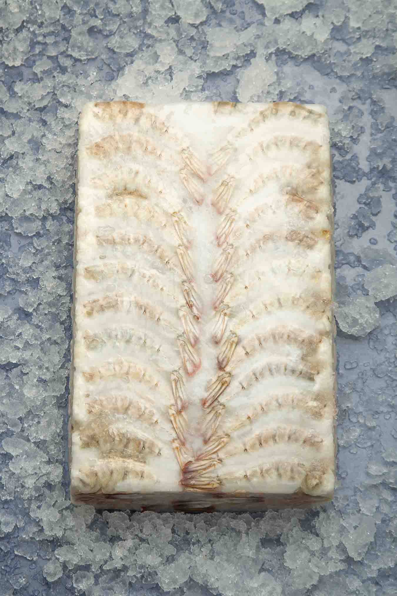 HEADLESS VANNAMEI SHRIMPS