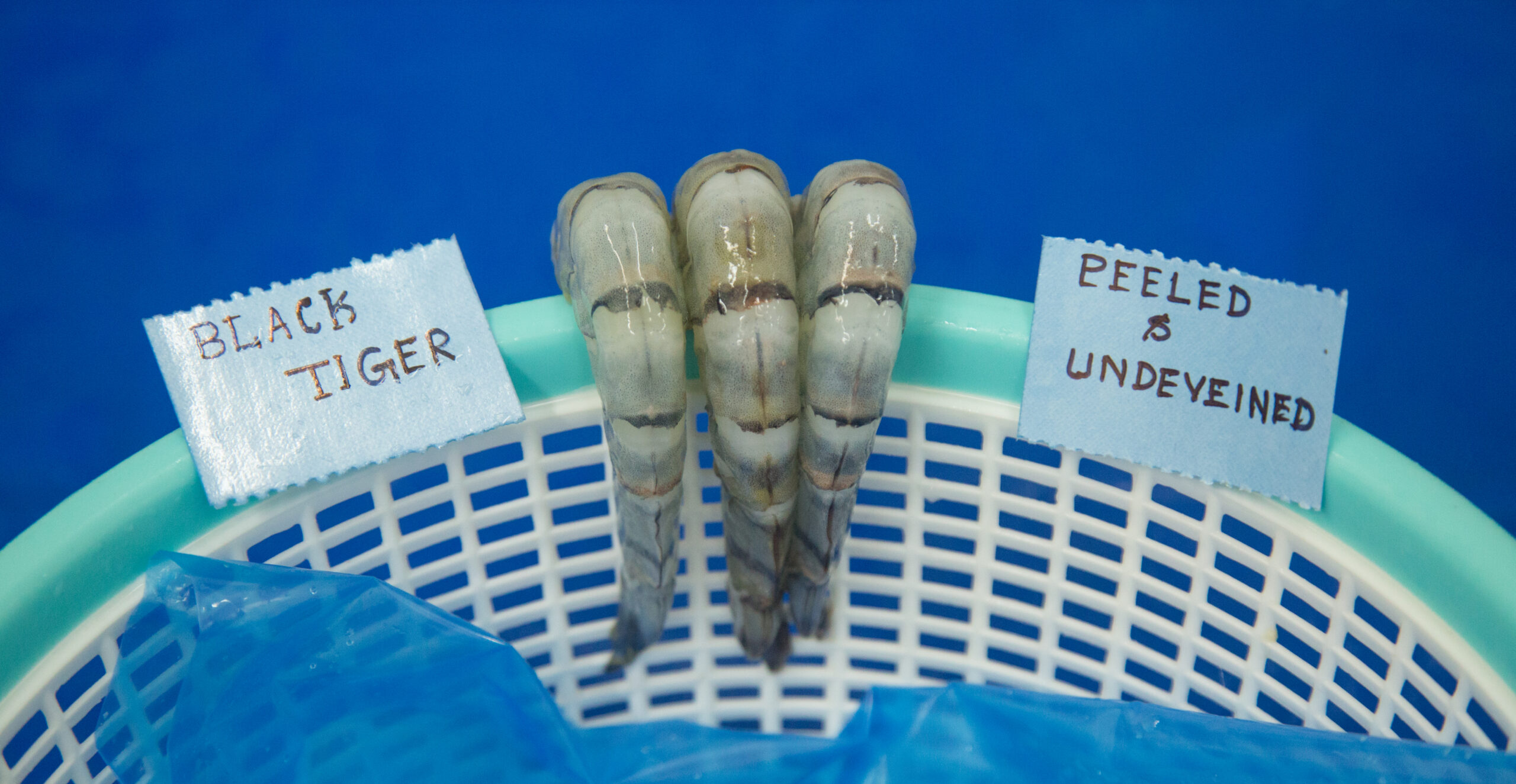 PEELED & DEVEINED BLACK TIGER SHRIMPS