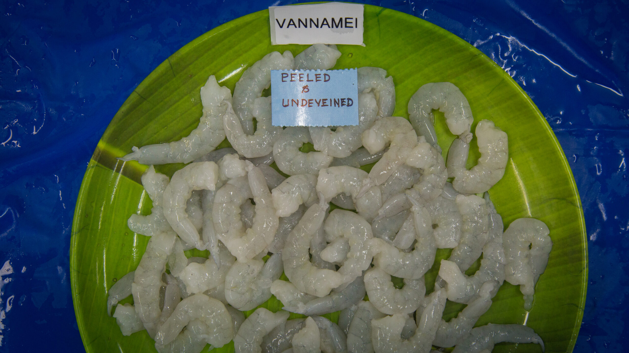 PEELED & DEVEINED (VANNAMEI)