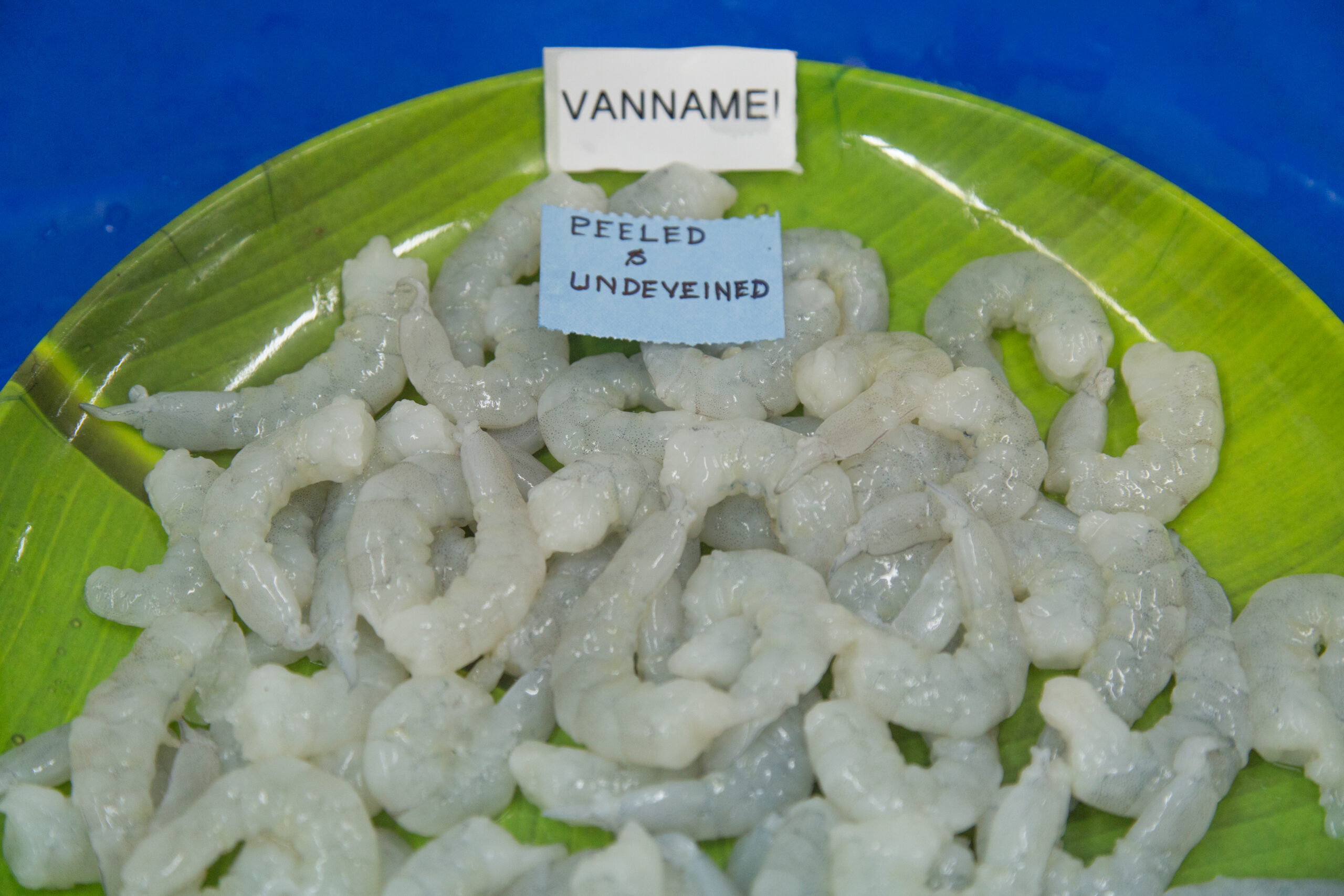 VANNAMEI PUD SHRIMPS