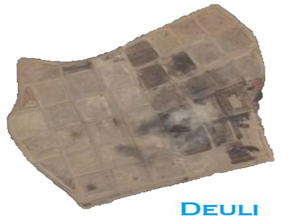 Deuli